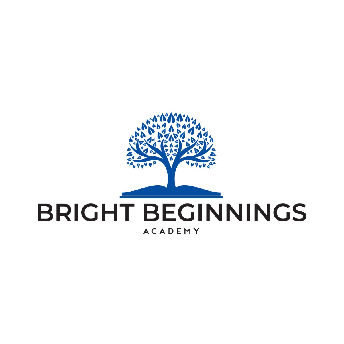 Bright Beginnings Academy